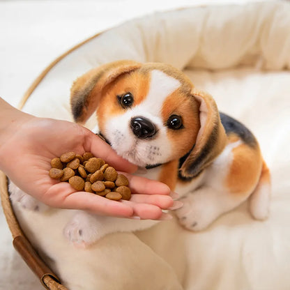 Dali’Spot – Peluche Chien Beagle | Compagnon Doux et Adorable & Décoration pour Enfants et Collectionneurs