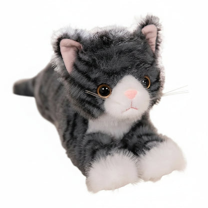 Chouchou le Chaton – Peluche Chat Ultra Douceur | Compagnon Réconfortant pour Enfants