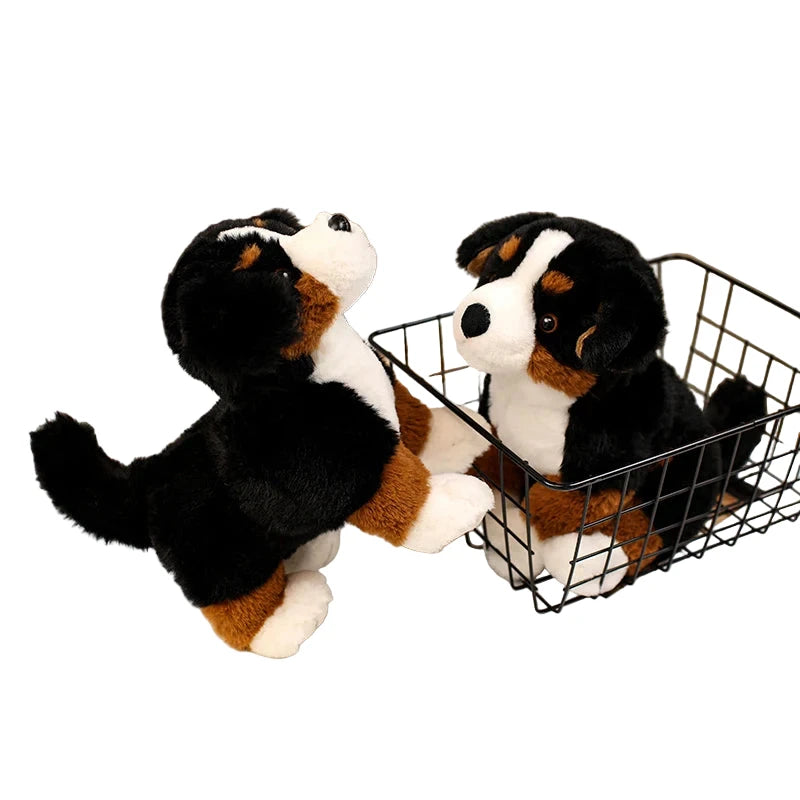 Berny – Peluche Chien Bouvier Bernois | Compagnon Doux et Adorable pour Enfants