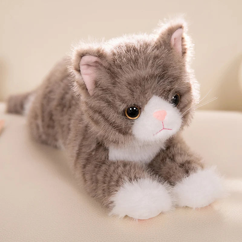 Chouchou le Chaton – Peluche Chat Ultra Douceur | Compagnon Réconfortant pour Enfants